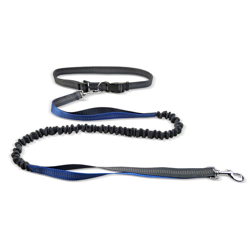Dog Walking Belt with Detachable Shockproof Leash - The Humanitarians & Robotarians LLC.