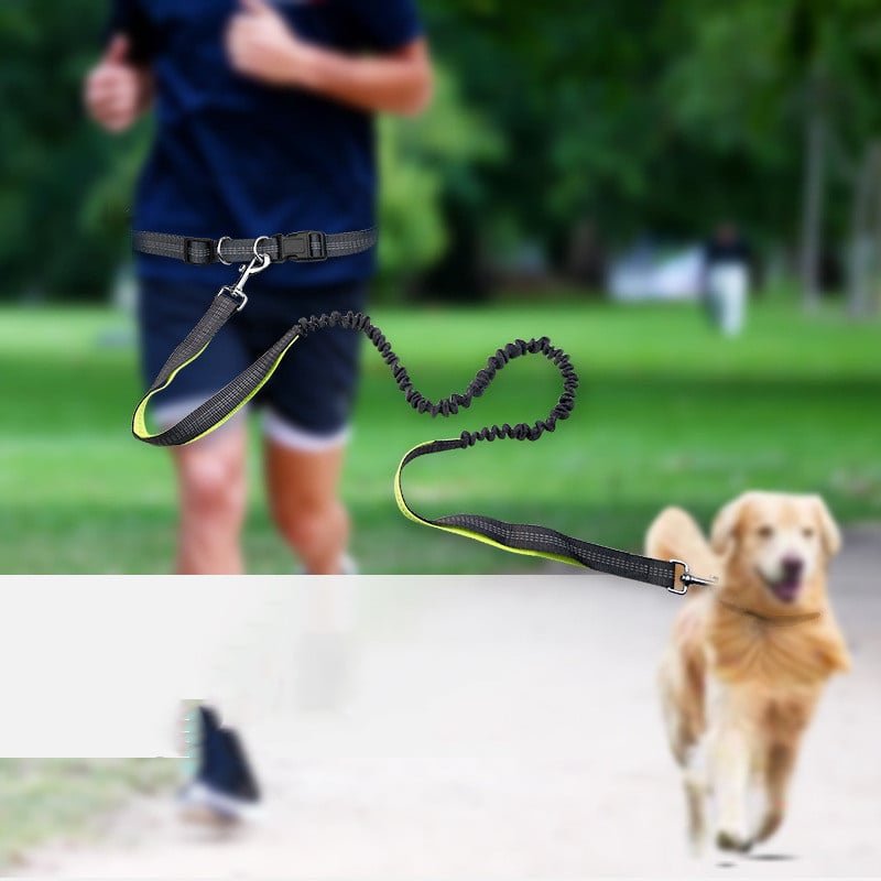 Dog Walking Belt with Detachable Shockproof Leash - The Humanitarians & Robotarians LLC.