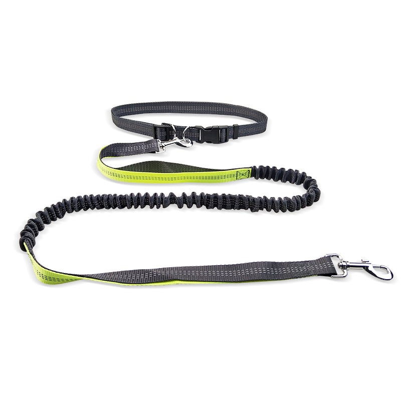 Dog Walking Belt with Detachable Shockproof Leash - The Humanitarians & Robotarians LLC.