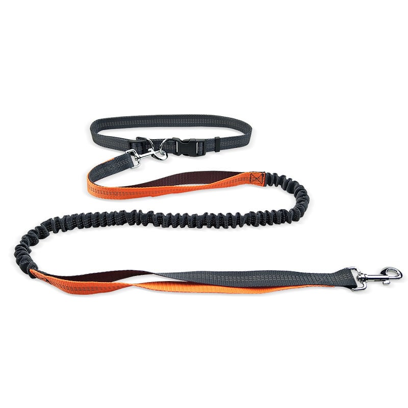 Dog Walking Belt with Detachable Shockproof Leash - The Humanitarians & Robotarians LLC.