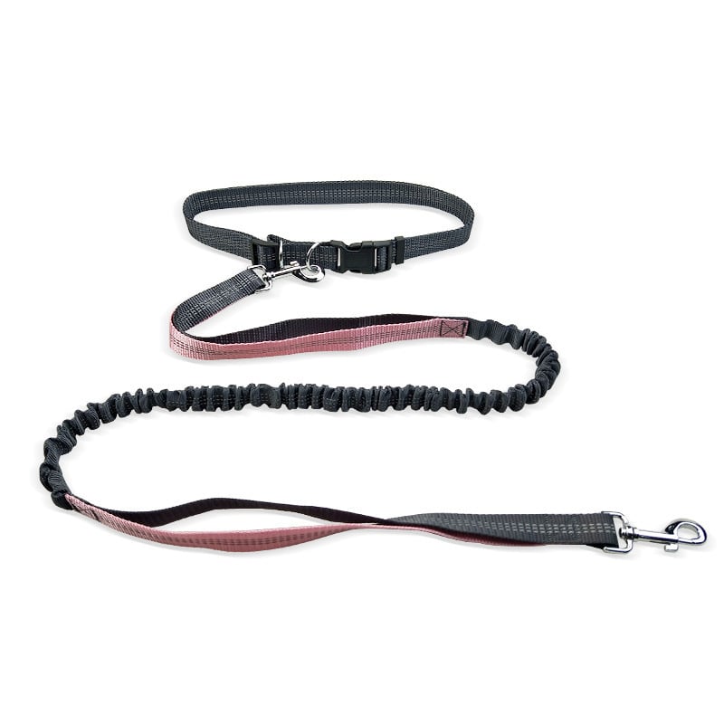 Dog Walking Belt with Detachable Shockproof Leash - The Humanitarians & Robotarians LLC.