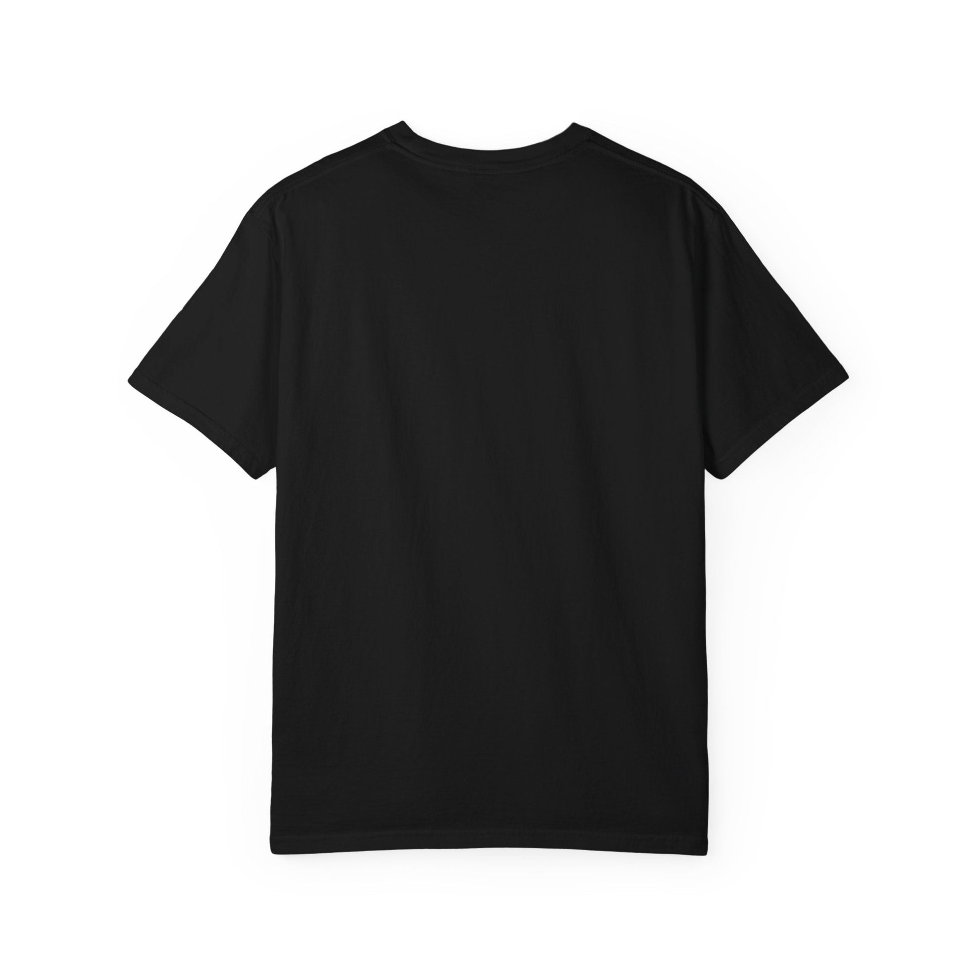 Heartframe Graphic T‑Shirt — "The Nammalwaram Satchidarum" Art Print - The Humanitarians & Robotarians LLC.