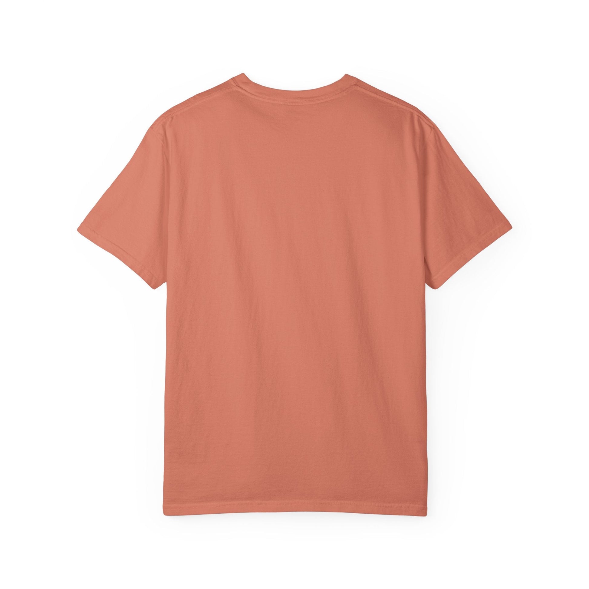 Heartframe Graphic T‑Shirt — "The Nammalwaram Satchidarum" Art Print - The Humanitarians & Robotarians LLC.