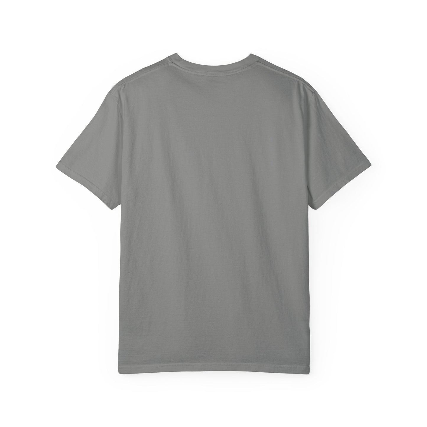 Heartframe Graphic T‑Shirt — "The Nammalwaram Satchidarum" Art Print - The Humanitarians & Robotarians LLC.