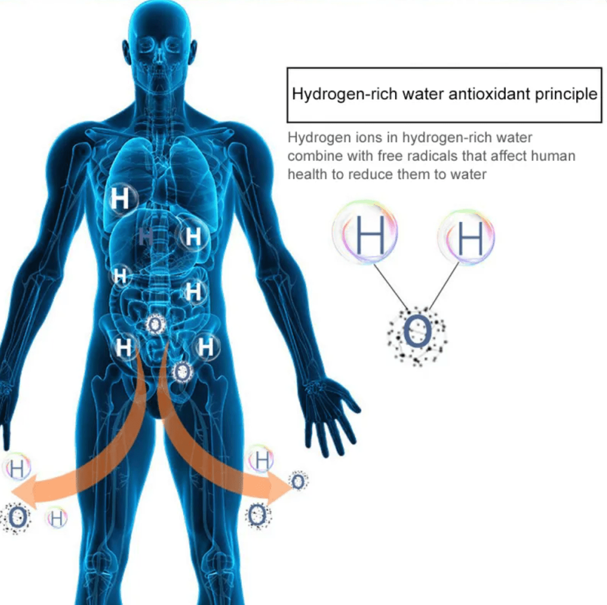 Hydrogen Water Cup - The Humanitarians & Robotarians LLC.