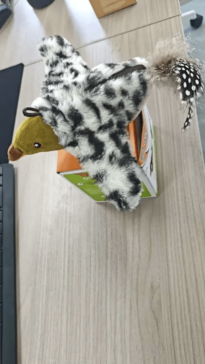 Plush Bird Pet Toy - The Humanitarians & Robotarians LLC.