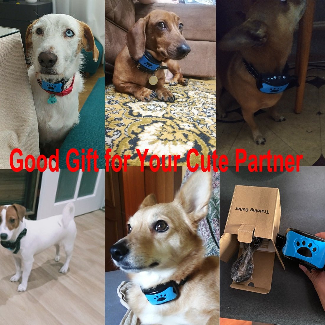 Ultrasonic Anti-Bark Dog Training Collar - The Humanitarians & Robotarians LLC.